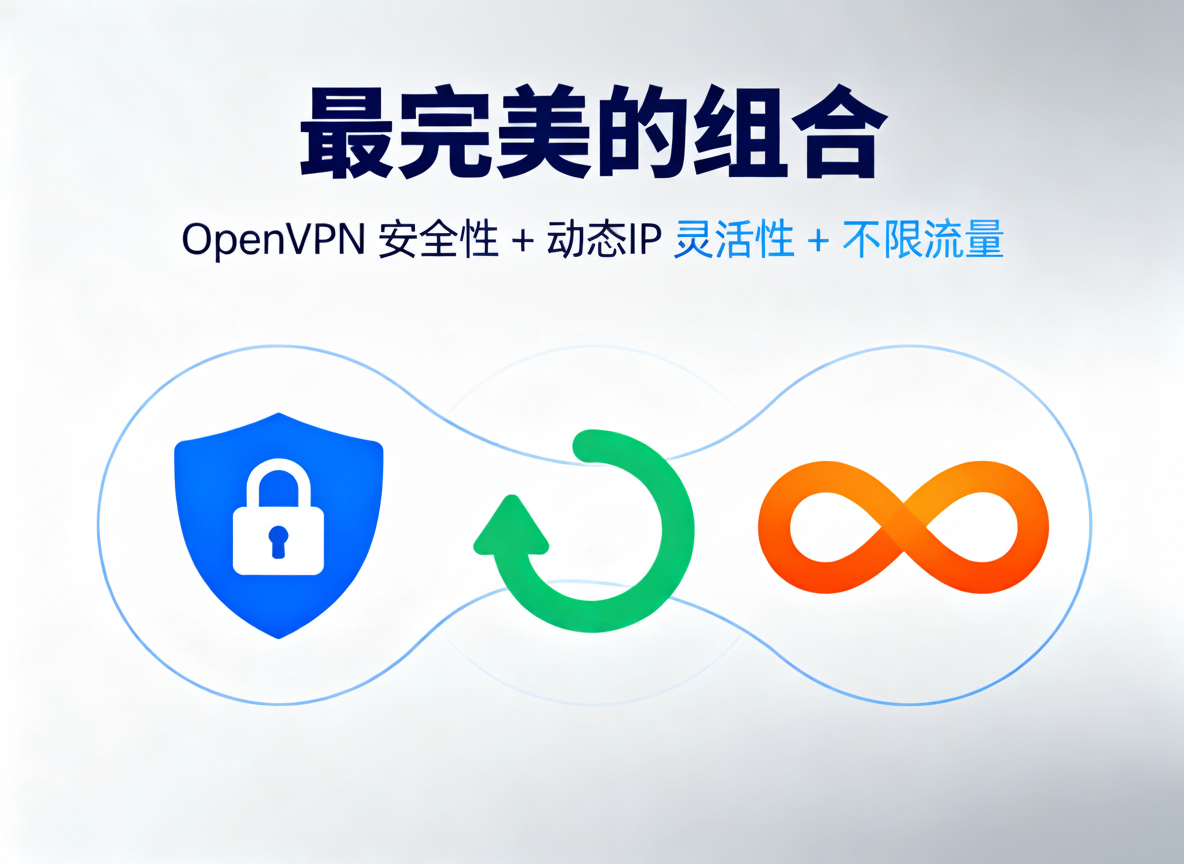 不可能的组合:OpenVPN 安全性 + 动态IP 灵活性 + 不限流量