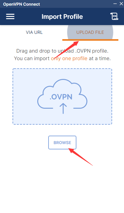 万安科技 Windows OpenVPN 教程 - 步骤4: 导入配置文件到 OpenVPN