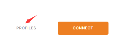万安科技 Windows OpenVPN 教程 - 步骤5: 查看已保存的配置