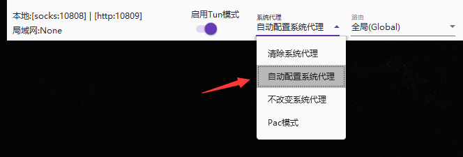 万安科技 Windows SOCKS5 教程 - 步骤9: 开启Tun并设为全局